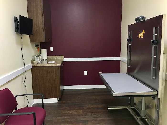 Vine Animal Hospital 5