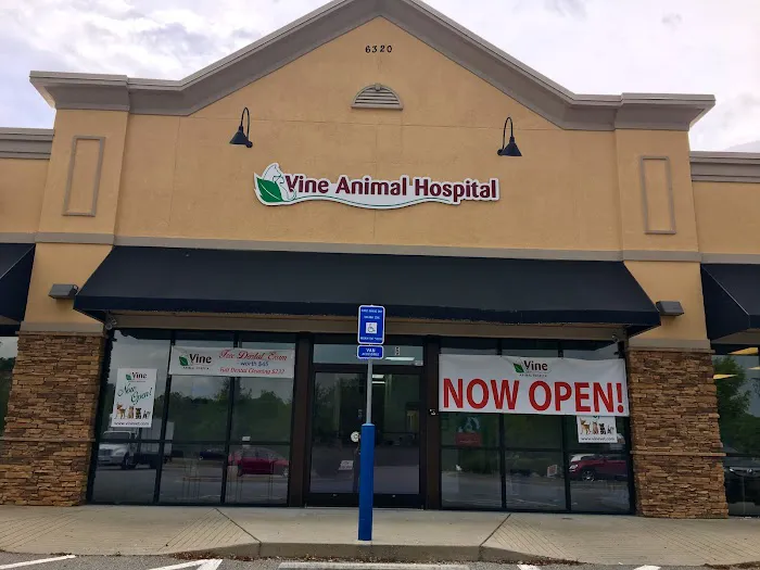 Vine Animal Hospital 3