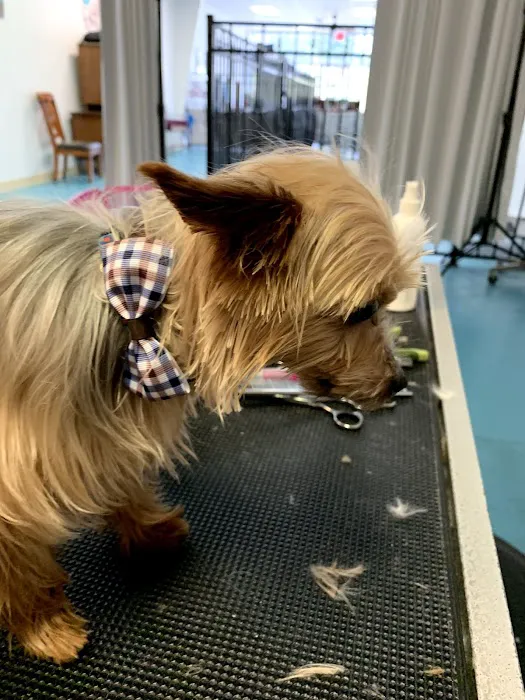 Vine Animal Hospital 7