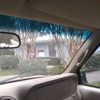 Winters Chapel Animal Hospital - Animal Clinic, Vets in Dunwoody GA ico