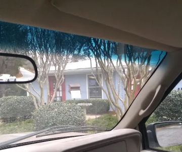 Winters Chapel Animal Hospital - Animal Clinic, Vets in Dunwoody GA