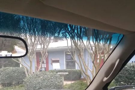 Winters Chapel Animal Hospital - Animal Clinic, Vets in Dunwoody GA
