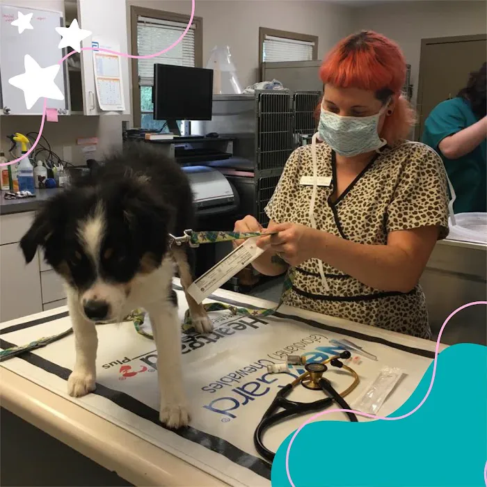 Winters Chapel Animal Hospital - Animal Clinic, Vets in Dunwoody GA 10