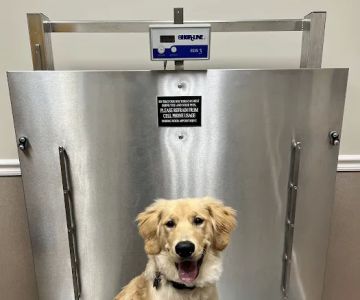 Allatoona Animal Hospital