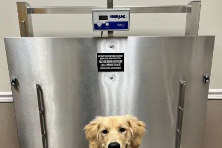 Allatoona Animal Hospital