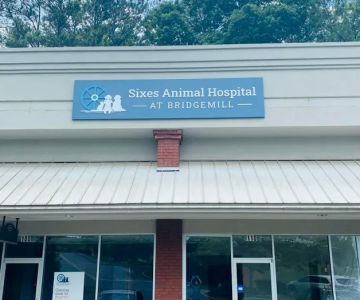Sixes Animal Hospital