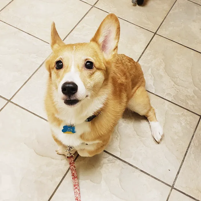 BridgeMill Animal Hospital 2
