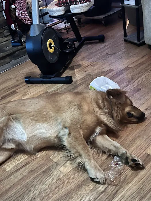 BridgeMill Animal Hospital 5