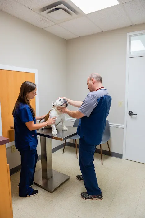 Animal Medical Center of Holly Springs 3