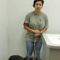 Pet Med Plus ico