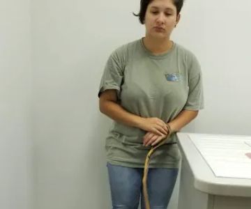 Pet Med Plus