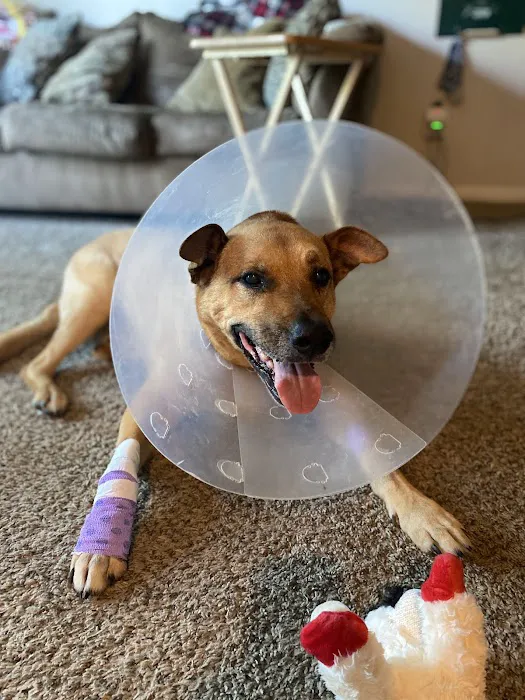Pet Med Plus 4