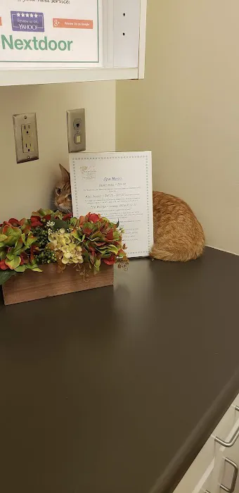 Peachtree Corners Animal Clinic 12