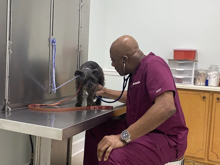 AVS Animal Hospital 4