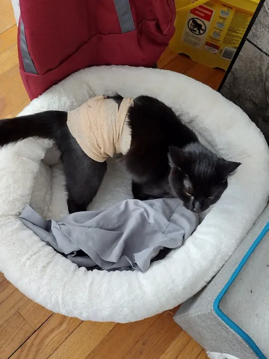 AVS Animal Hospital 9