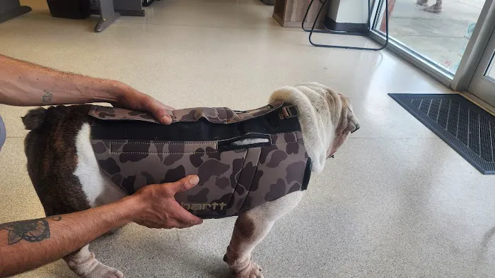 AVS Animal Hospital 7