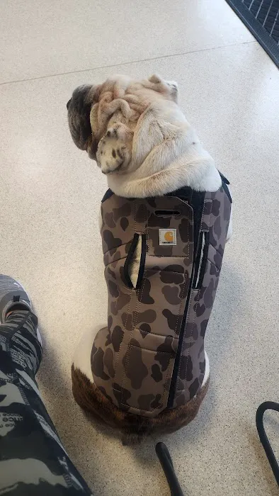 AVS Animal Hospital 3