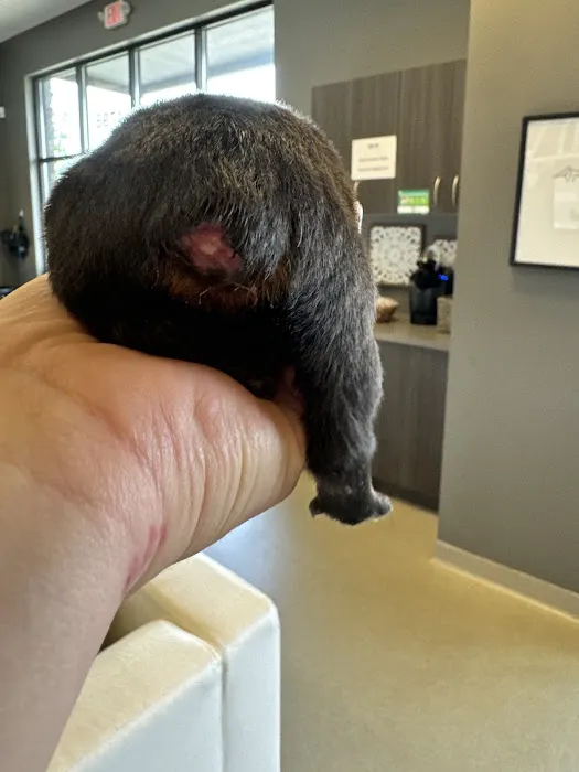 Riverside Animal Hospital 2
