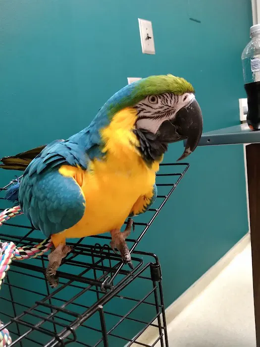 Riverside Animal Hospital 5