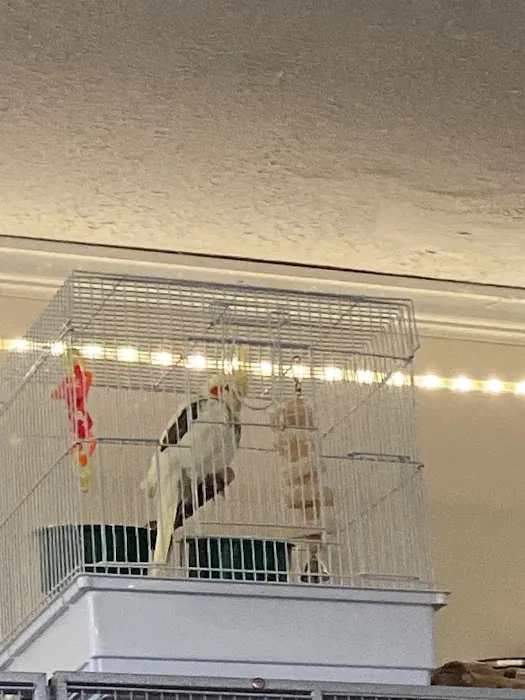 Riverside Animal Hospital 4