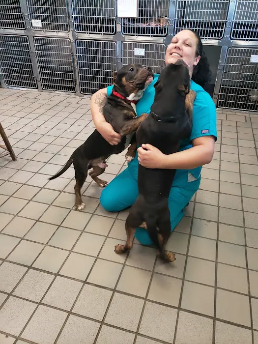 Hudspeth Animal Hospital 8