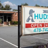 Hudspeth Animal Hospital ico