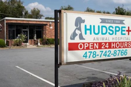 Hudspeth Animal Hospital