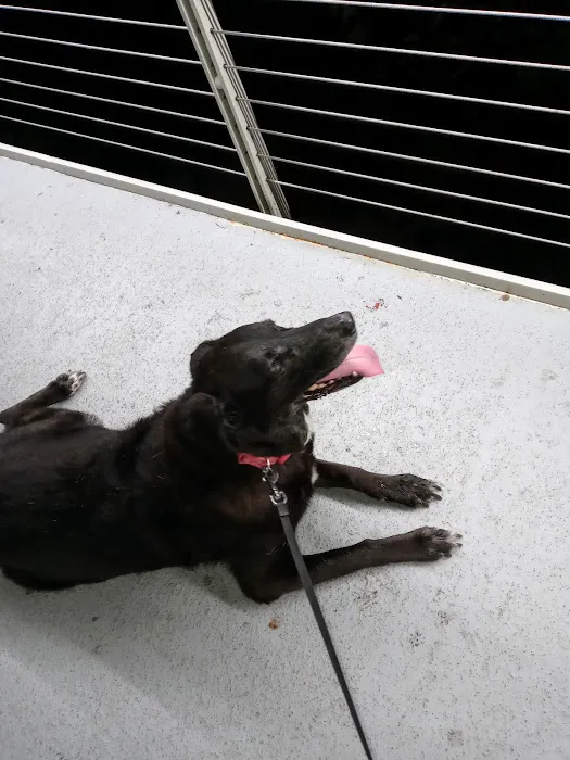 Banfield Pet Hospital 1