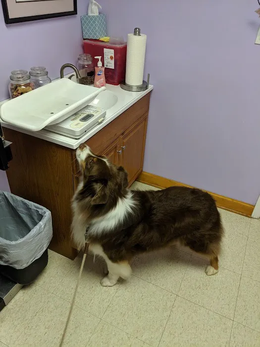 Steven R. Shrum, DVM: Holly Tree Animal Hospital 1