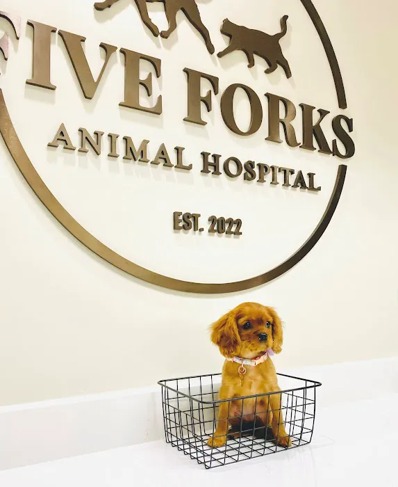 Five Forks Animal Hospital 1