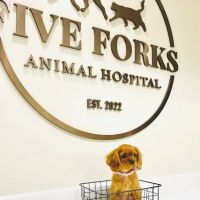 Five Forks Animal Hospital ico