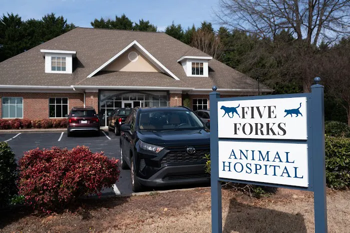 Five Forks Animal Hospital 5