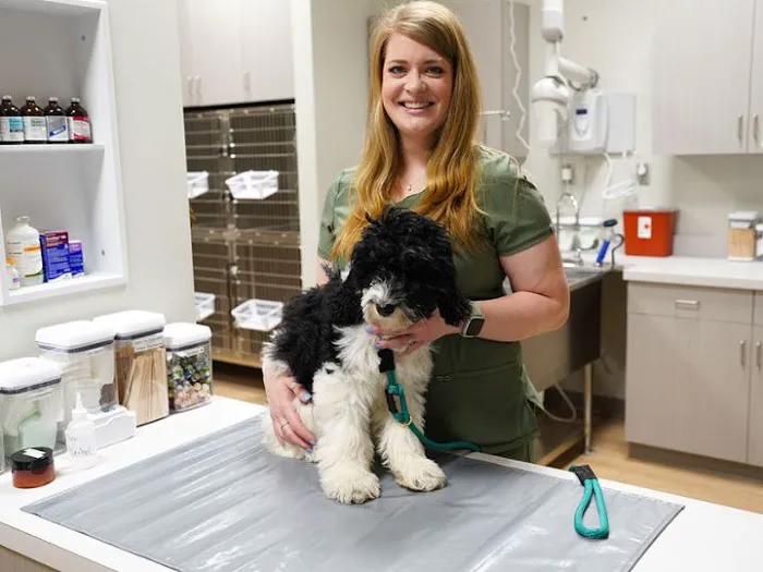 Thornblade Animal Hospital 1