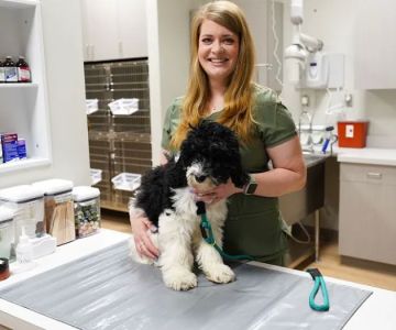 Thornblade Animal Hospital