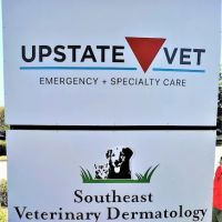 Animal Dermatology Clinic ico