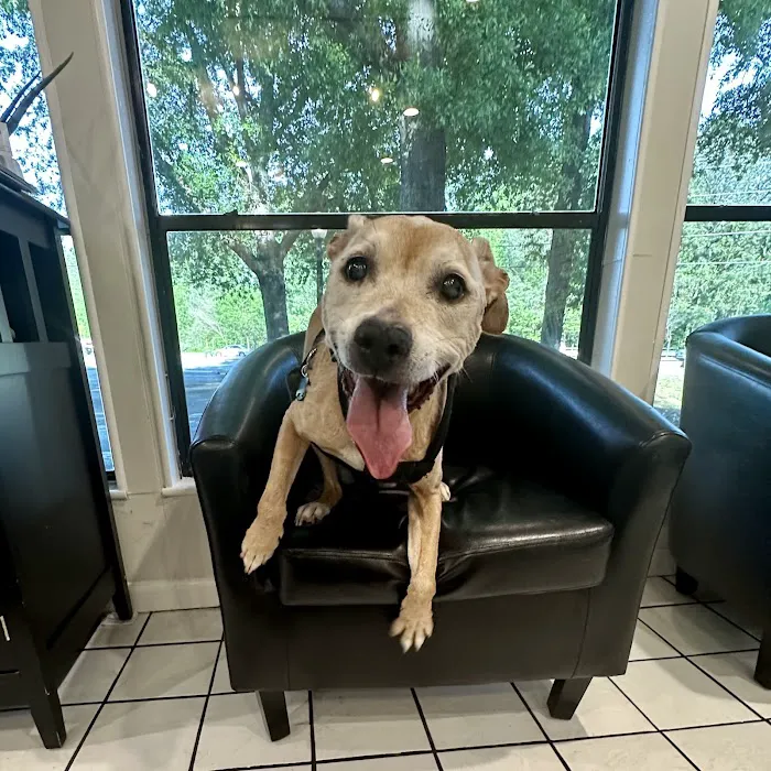 Johns Creek Veterinary Clinic 4