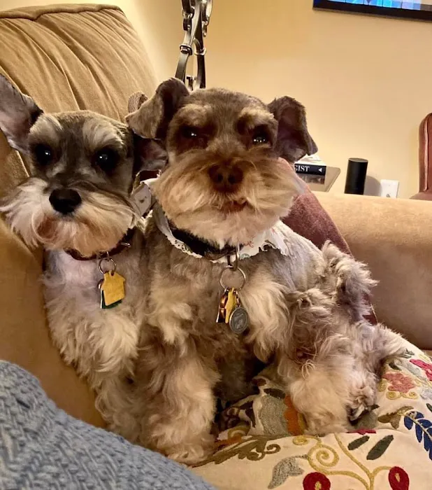 Johns Creek Veterinary Clinic 8