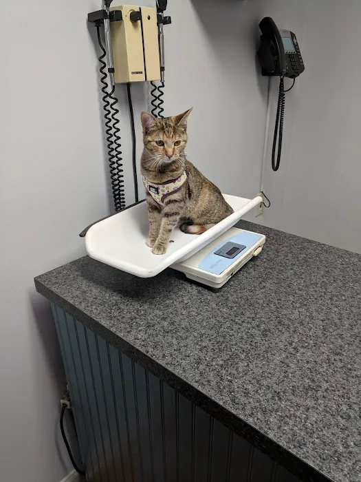 Johns Creek Veterinary Clinic 1