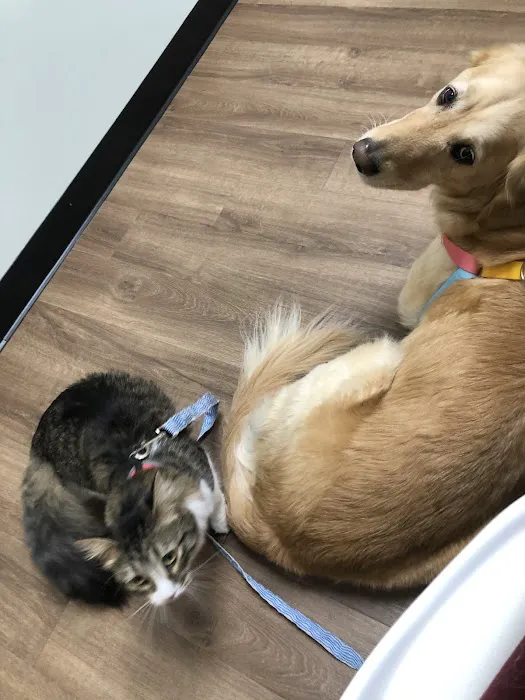 Peach Paws Animal Hospital 12
