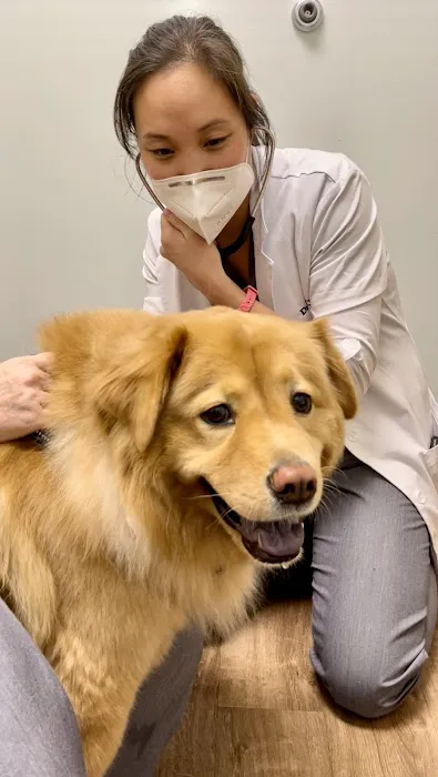 Peach Paws Animal Hospital 12