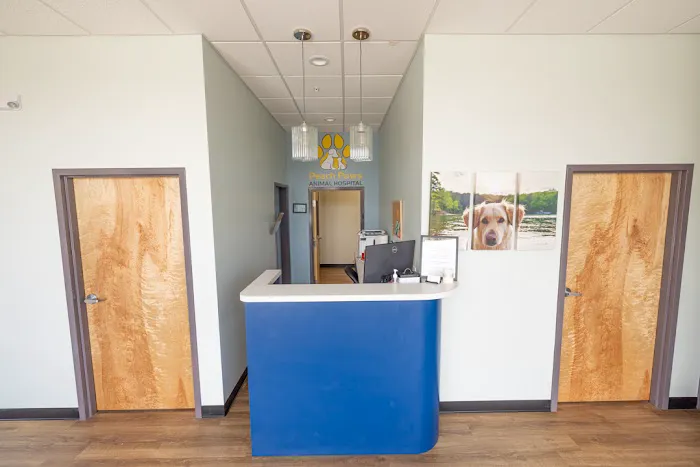 Peach Paws Animal Hospital 12