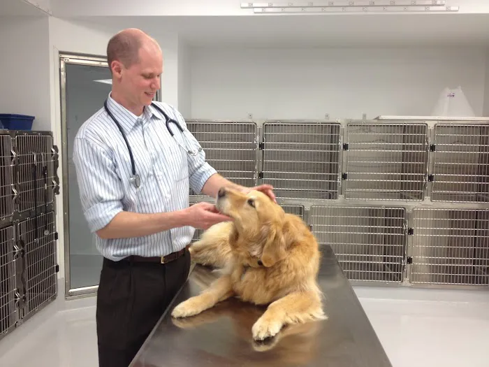 Spalding Animal Hospital 6