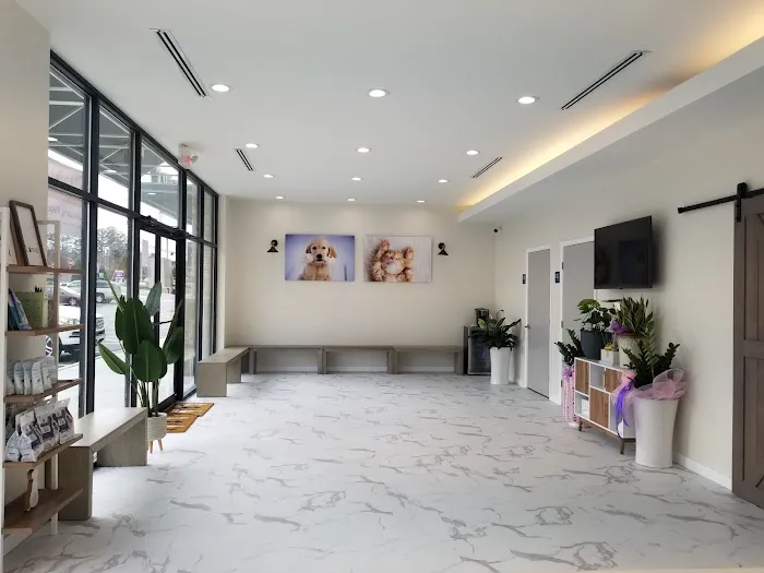 P&A Animal Medical Center(Animal Hospital) 1
