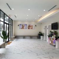 P&A Animal Medical Center(Animal Hospital) ico