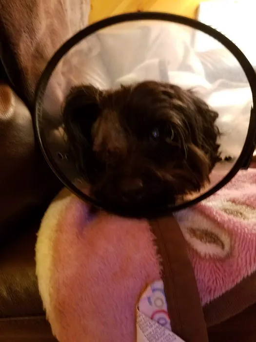 Animal Eye Care Clinic 12