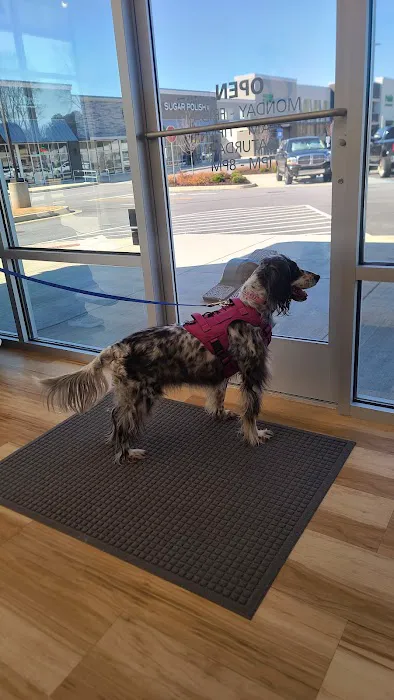 Oak Grove Animal Clinic 12