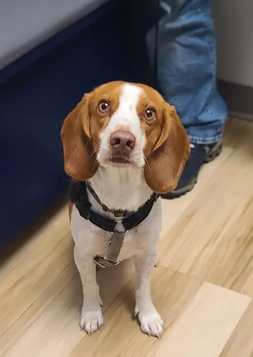 Oak Grove Animal Clinic 12