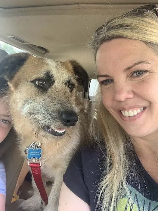 Athens Animal Hospital 7