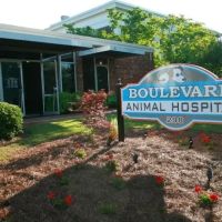 Boulevard Animal Hospital ico