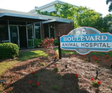 Boulevard Animal Hospital